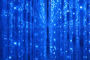 2025-10-00 Tokyo, Japan - Tokyo (75).webp